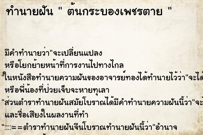 ทำนายฝัน  ต้นกระบองเพชรตาย  ตำราโบราณ แม่นที่สุดในโลก